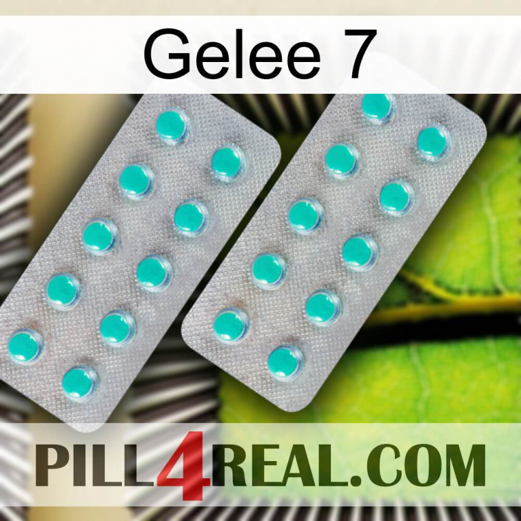 Jelly 7 29